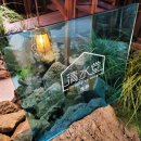 해림 공인중개사 사무소 이미지