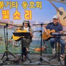 포플러 나무 아래 이미지