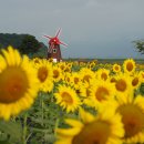 교동면 난정저수지 이미지