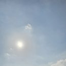 시장이 반찬 이미지