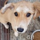 금창주유소 이미지