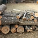 수촌농장 이미지