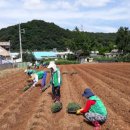 천의1리 이미지