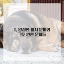 브이의원 이미지