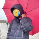 유럽여행 ep.6 루이14세 권력의 상징, 베르사유 궁전