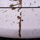 안의카-세차 이미지