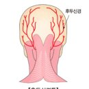 산후맘소통테라피 | [육아정보] 시흥 출장 산후마사지,단유마사지 좋은맘테라피 추천 및 후기 / 후두 신경통 신경차단주사 후기