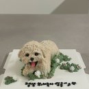 댕댕벅스 이미지