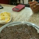 도청앞 언양각식당 이미지