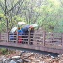 둘레길펜션 이미지