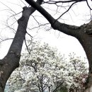 성어공원 이미지