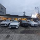 도리도리수성점 이미지