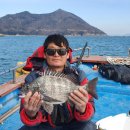 약산면-1 이미지