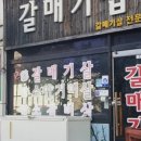 장유갈매기