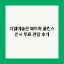 대림명품세상 | 대림미술관 페트라 콜린스 전시 무료 관람 후기