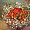 대가초등학교 이미지