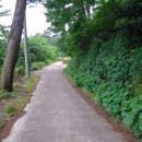 제주 올라 이미지