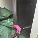 미숙식품 이미지