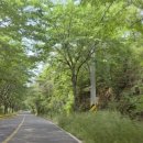 삼선카센타 이미지