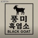 신풍미흑염소