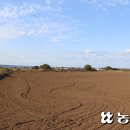 우도자동차정비 이미지