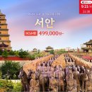 알파항공여행사