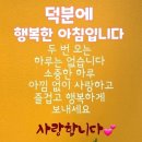 모든날이 행복하기를 이미지