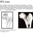 피트니스 FM 이미지