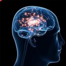 에버그린 데이케어센터 이미지