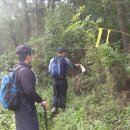 지방도909호선 이미지