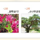 동곡초등학교 이미지