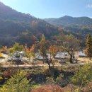 영주호오토캠핑장 이미지