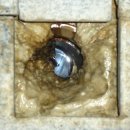 성원목욕탕 이미지