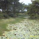 금지초등학교 이미지