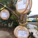 세인유치원 이미지