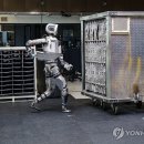 지식인력개발형태 이미지