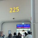 (주)바이나우 | 대한항공 KE031 서울인천 ICN - 댈러스포트워스 DFW 비행후기