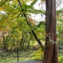 스타스테이 이미지