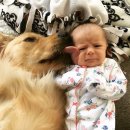 아기천사 이미지