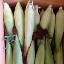 초이농장 이미지