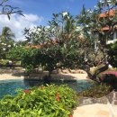 보헤미안 블루 이미지