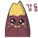 이쉐프컵밥