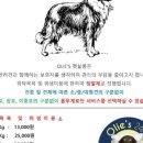 올리스 방이점 이미지