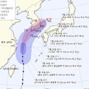 파인힐 캠프 이미지