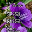 봄 동산 이미지