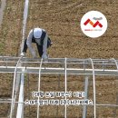 (주)서진팜 이미지