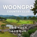 웅포컨트리클럽 | 군산CC와 자주 비교되는 웅포CC, 직접 가보진 않았지만 정보는 확실하게!