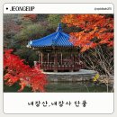 내장산 | 전북 가을 가볼만한곳 25년 내장산 단풍 후기
