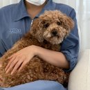 오늘의 개스트 이미지