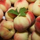 상주원예영농조합법인 이미지